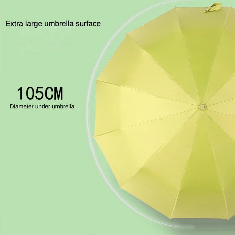 Fully Bone And Folding Umbrella